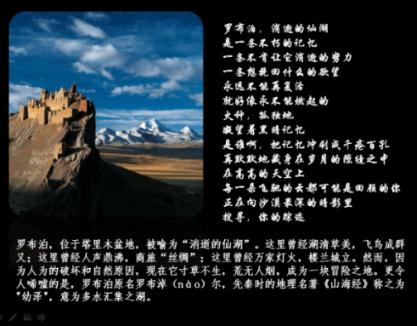 无忧国际wy6999